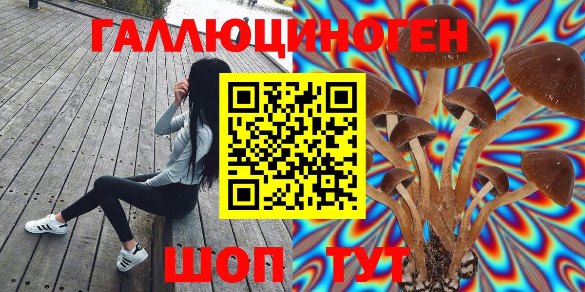Псилоцибиновые грибы Psilocybine cubensis  Вход с VPN  Белово 