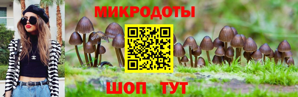 Галлюциногенные грибы ЛСД Белово